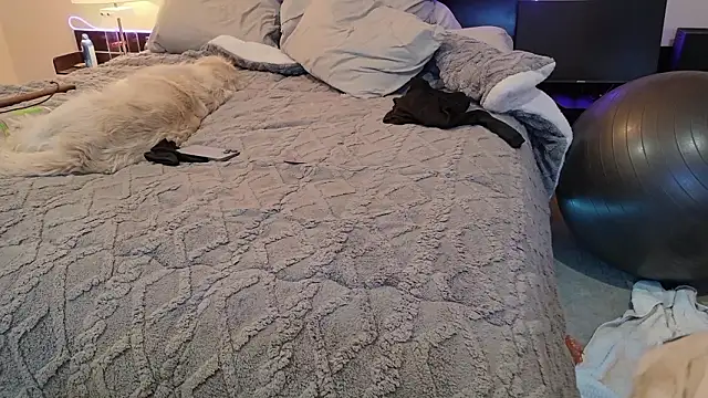 klownman1's Live XXX Chat