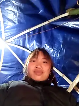 sowbibi Live XXX-chat