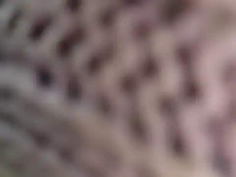 Hot-Sana2 Chat XXX live