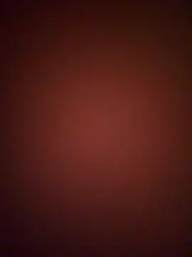 BURN666ING 网络视讯表演