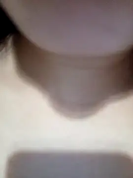 Show webcam de AsilAbid