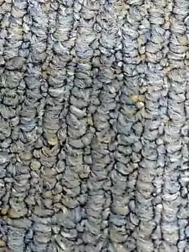 Horny-Indian-Girl 라이브 XXX 채팅