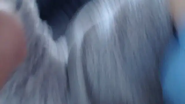 Chatroom XXX en direct de cleophee