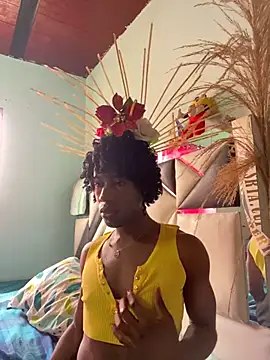 Show webcam de AnelimDagota