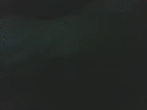 Alphamancum Webcam Show