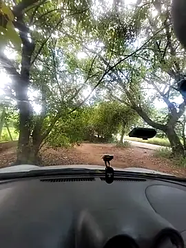 boybrl10 live XXX chat