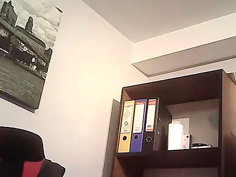 mastercharisma35のウェブカメラショー