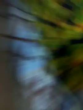 Kaptonko Adlı Modelin Web Kamerası Şovu