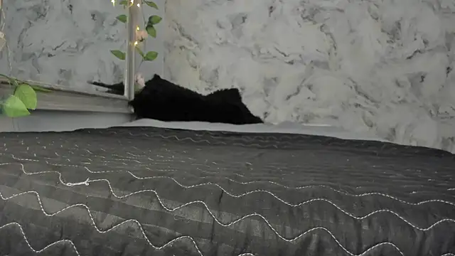 Živý XXX chat Bella_desi_