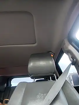 Vergadura590のウェブカメラショー