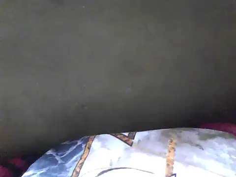 Stubborndesiboy 웹캠 쇼