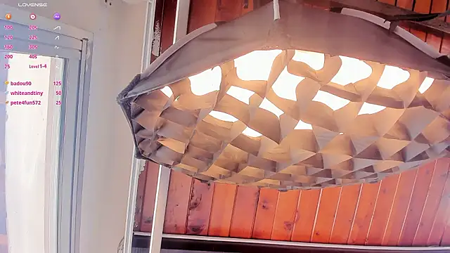 ari_monetのウェブカメラショー