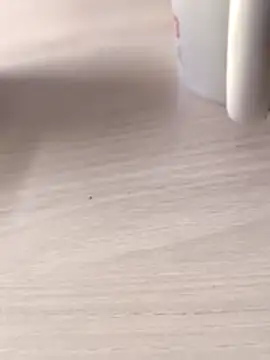 Webkamerová show Mariomario0565