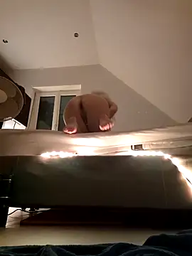 NaughtyCatgirl Chat XXX live