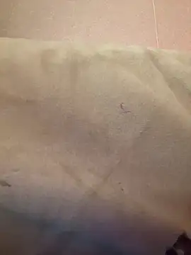 Hoot-Anime- Show Webcam