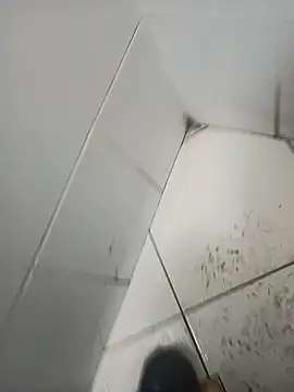 Stallionbull37 现场XXX聊天