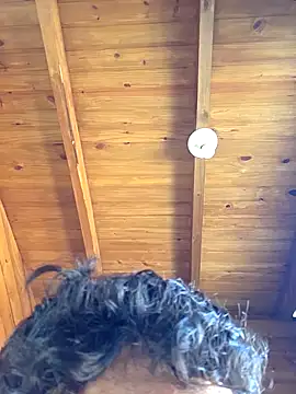 Sfd05: вебкам-шоу