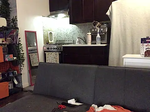 Show Webcam de littyleesh1