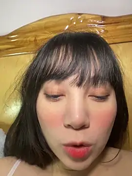 Xdouyaan Webbikameraesitys