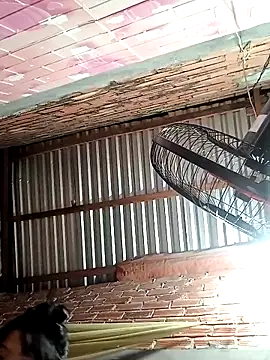 Chammy720 网络视讯表演