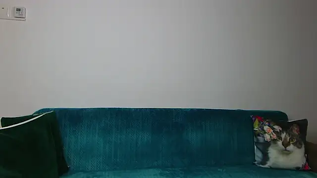 SaraDaisy Live XXX-Chat