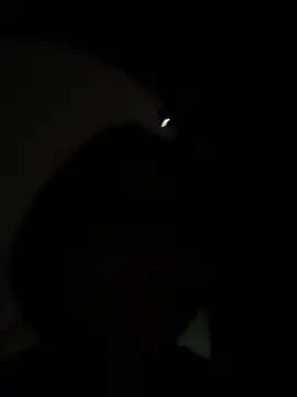 Brutecia2002 Live XXX-Chat