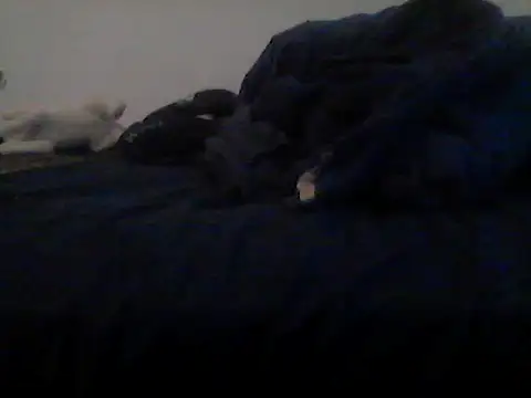 Silencio26 Live XXX-Chat