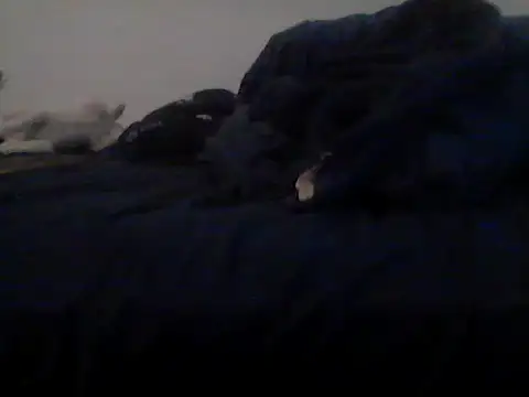 Show Webcam de Silencio26