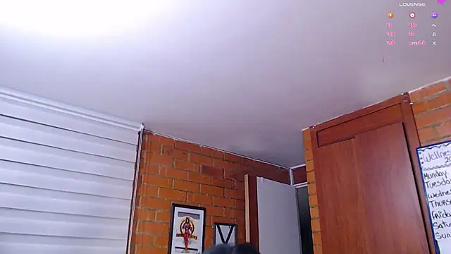 Salome-sw 现场XXX聊天