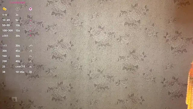 GlibRasher Webcam-Show