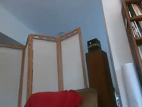 Webkamerová show TheGirlWhoStandsUp