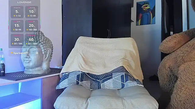 Show Webcam de JacoLive