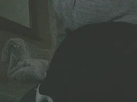 Alphamancum webkamerás műsora