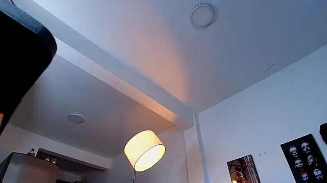 Baxter_Dex Adlı Modelin Web Kamerası Şovu