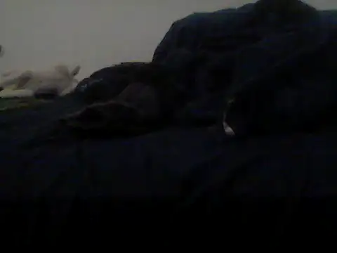 Chat XXX ao vivo de Silencio26