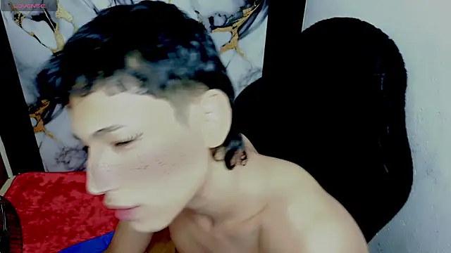 Im_david02 Webcamshow