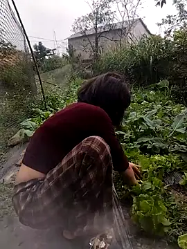 linda_bae00 Webcam Show