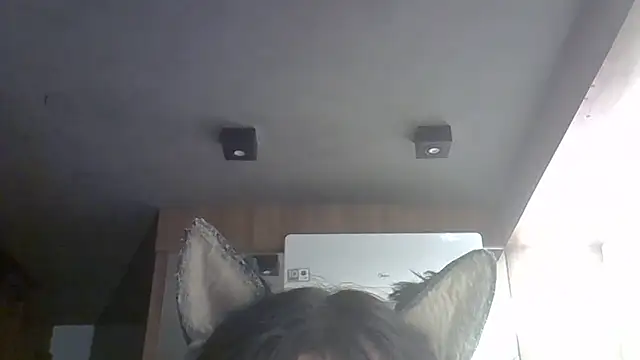 SkinnyKitten Webcam Show