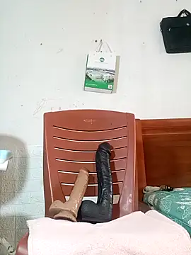 MilkShow Show Webcam