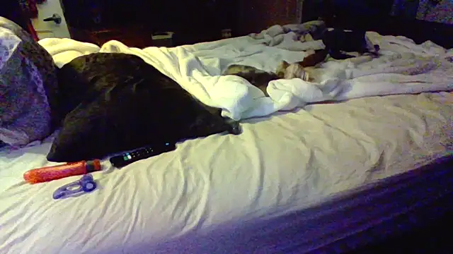 โชว์เว็บแคมของ ThatPlatinumD