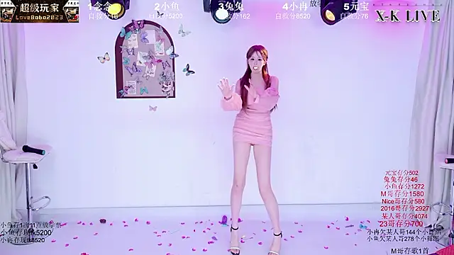 XK-2005のウェブカメラショー