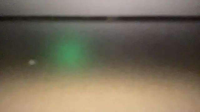 flexingplexicoのウェブカメラショー