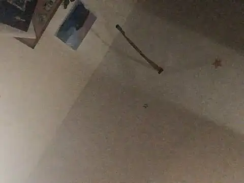 Sexy_ebony_BunNeyn Webbikameraesitys