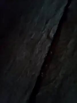 Agnes-baby: онлайн-секс-чат