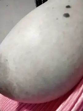 Вебкам-шоу tharu_sweet