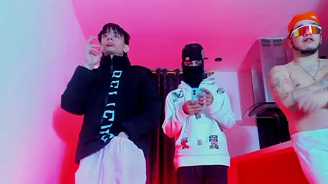 โชว์เว็บแคมของ TheBatMansion