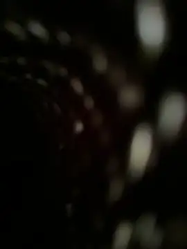 Blacat32 Show Webcam