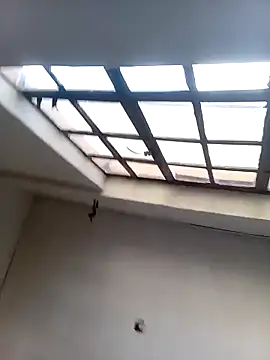 DaisyHarperr Live XXX Chat