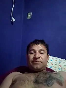 Show webcam de yoguitolokoche