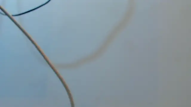 Jacob_Benelli Live XXX-chat